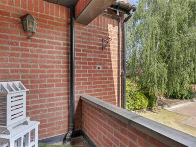 Picture 15